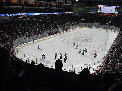 Toledo Walleye hockey game