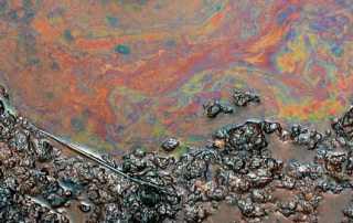 Oils and solids clog the media in CPI Separators